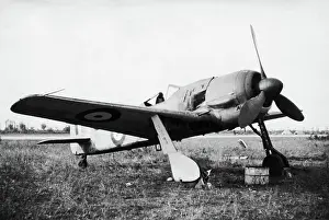 Low Wing: Focke Wulf FW-190