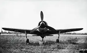 Low Wing: Focke Wulf FW-190