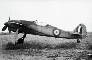 Low Wing: Focke Wulf FW-190