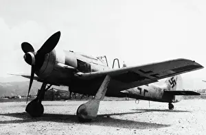 Low Wing: Focke Wulf FW-190