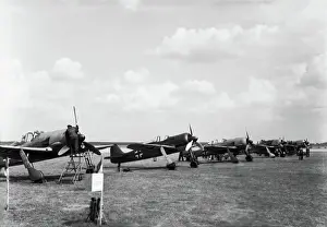 Low Wing: Focke Wulf FW-190
