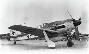 Low Wing: Focke Wulf FW-190