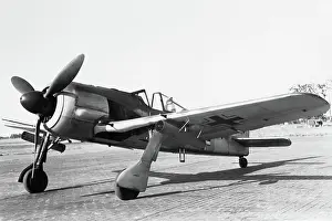 Low Wing: Focke Wulf FW-190