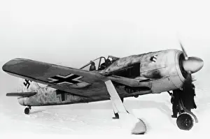 Low Wing: Focke Wulf FW-190