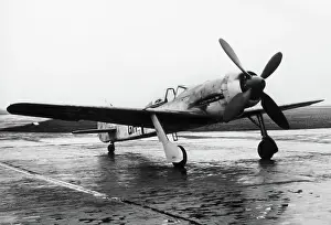 Low Wing: Focke Wulf FW-190