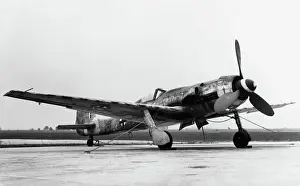 Low Wing: Focke Wulf FW-190