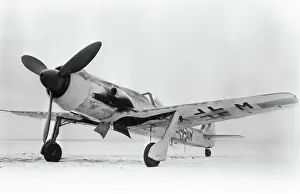 Low Wing: Focke Wulf FW-190
