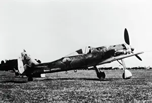 Low Wing: Focke Wulf FW-190