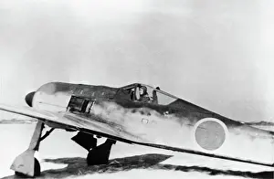 Low Wing: Focke Wulf FW-190