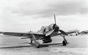 Low Wing: Focke Wulf FW-190