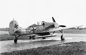 Low Wing: Focke Wulf FW-190
