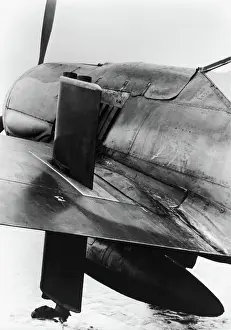 Low Wing: Focke Wulf FW-190