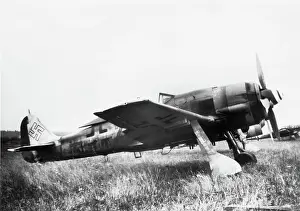 Low Wing: Focke Wulf FW-190