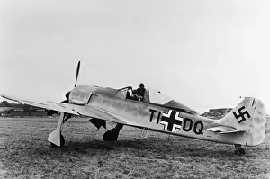 Low Wing: Focke Wulf FW-190
