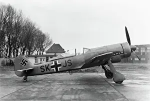 Low Wing: Focke Wulf FW-190