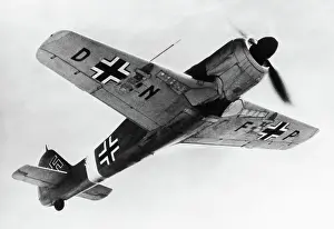 Low Wing: Focke Wulf FW-190