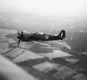 Low Wing: Focke Wulf FW-190