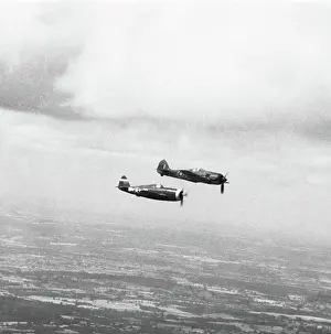 Low Wing: Focke Wulf FW-190