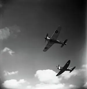 Low Wing: Focke Wulf FW-190