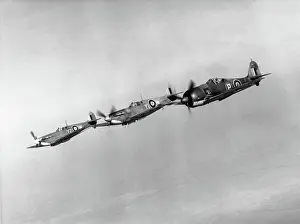 Low Wing: Focke Wulf FW-190
