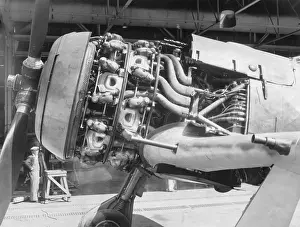 Low Wing: Focke Wulf FW-190