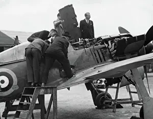 Low Wing: Focke Wulf FW-190