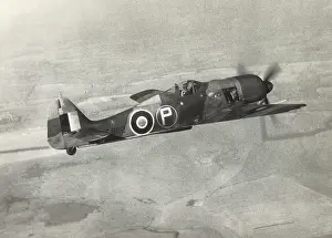 Liveries: Focke Wulf FW-190A-4 / U-8