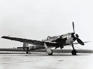 Luftwaffefocke: Focke Wulf FW-190D