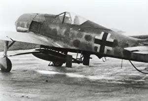 Focke Wolf: Focke Wulf FW-190F-8