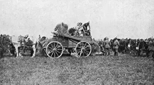 Fodder: Fodder for German cavalry horses