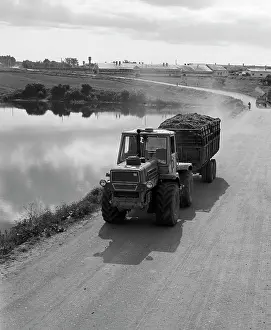 Smolensk: Fodder procurement in Smolensk region, 1982