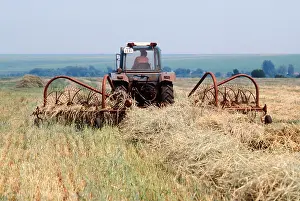 Stacking: Fodder procurement starts in Kursk Region, 1986