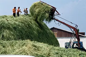 Sizov: Fodder procurement starts in Kursk Region, 1986