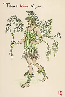 Fennel: Foeniculum Vulgaris