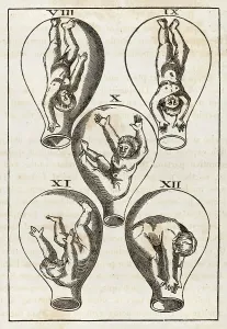 Foetus: FOETUS IN WOMB 1540