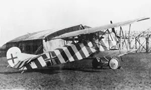 Special Livery: Fokker D-VII / 7