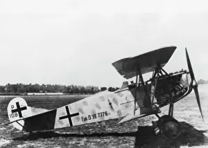 V 11: Fokker D-VII / 7