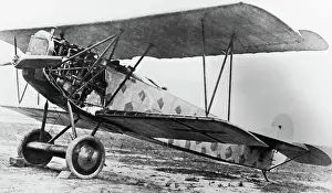 Dvii: Fokker D-VII / 7