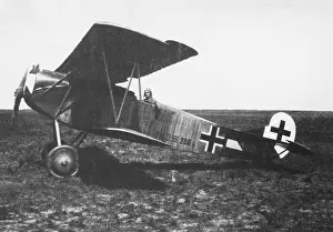 Dvii: Fokker D-VII / 7