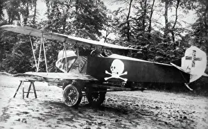 Dvii: Fokker D-VII / 7