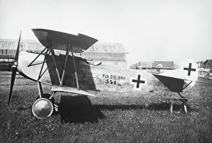 Dvii: Fokker D-VII / 7