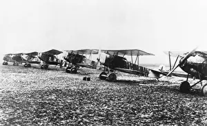 Dvii: Fokker D-VII / 7
