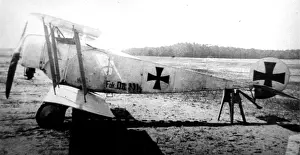 Trestle: Fokker DII, (side view, on the ground, tail-up) on tres