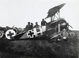 Dr 1: Fokker DR-1 Triplane
