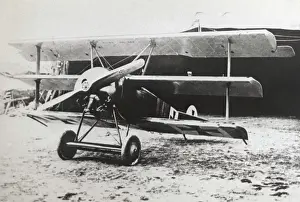 Multiplane: Fokker DR-1 Triplane