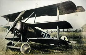 Dr.i: Fokker DrI produced to counter the Sopwith Triplane, it?