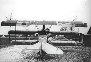 Dr.i: Fokker DrI, rear, (on the ground)