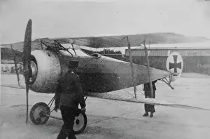 Forwd: Fokker DV, (forward view, on the ground, tail-up)