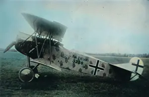 Dvii: Fokker DVII, 5220-18, (side view, on the ground)