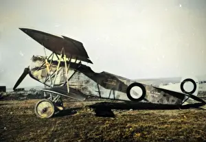Dvii: Fokker DVII captured by British.?
